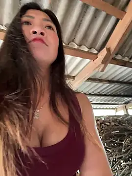 ThiHa003 online show from February 7, 3:47 am