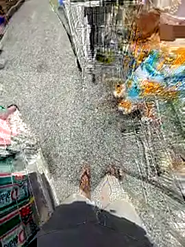 jeff pepoer online show from February 14, 11:54 am