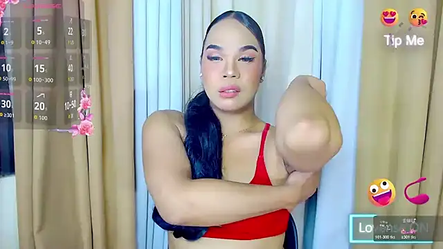 Dream Mistress online show from November 3, 6:40 am