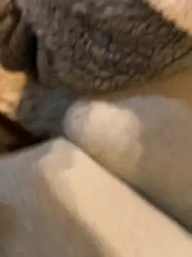 boy8540 online show from January 19, 5:44 am