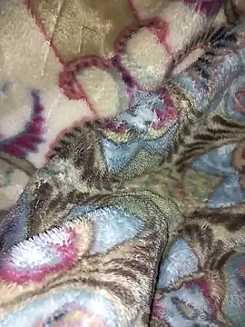 amin20cm online show from October 28, 11:47 pm