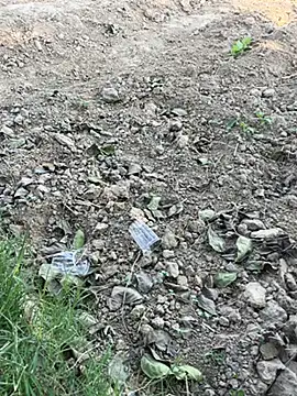 funny sexxx online show from November 6, 8:18 am