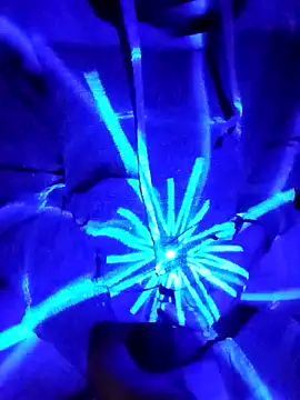 Oaxhot online show from October 30, 7:06 am