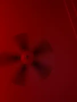 Taydagr8 online show from September 19, 7:56 am