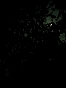 Girls pussy rider online show from February 28, 7:13 pm