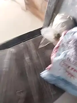 Wet BunnyFun online show from February 25, 10:04 am