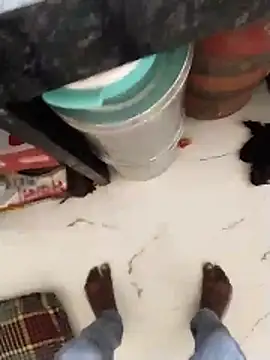 Wet BunnyFun online show from May 13, 11:28 am