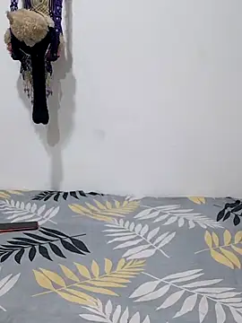 sneha bebo online show from December 19, 3:03 pm