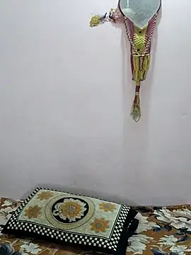 sneha bebo online show from April 4, 3:29 pm