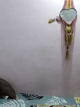 sneha bebo online show from April 15, 3:38 pm