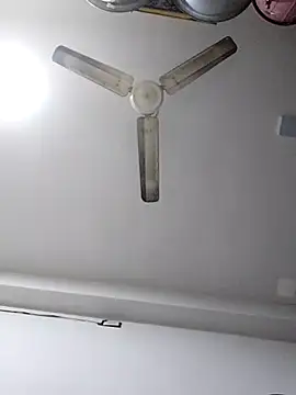 sneha bebo online show from December 20, 10:40 am