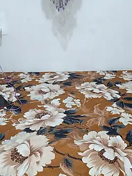 sneha bebo online show from January 9, 3:08 pm