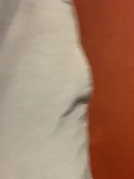 Snapshot of jabulani2600 chatting on February 22, 6:16 am jabulani2600 online show from February 22, 6:16 am