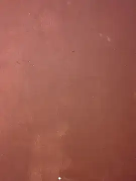 Snapshot of jabulani2600 chatting on February 18, 10:33 am jabulani2600 online show from February 18, 10:33 am