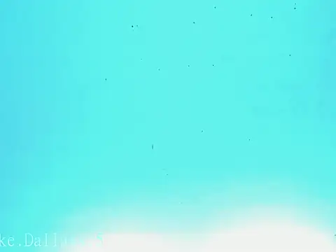 zeus 7777 online show from June 24, 8:57 am