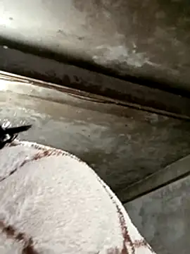 maple694 online show from January 9, 3:13 am