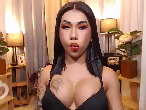 TRANSPORNIDOL online show from February 8, 3:54 pm