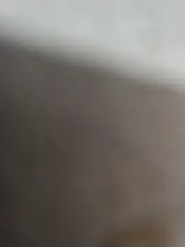 12dery online show from February 15, 7:20 am