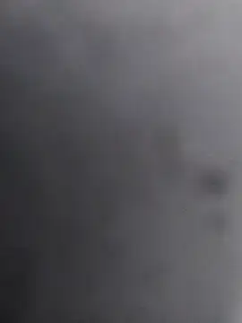 12dery online show from November 10, 11:37 am