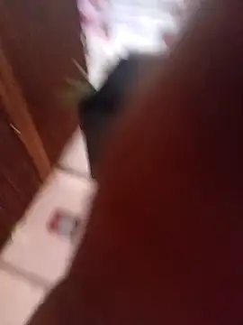 Flor6732 online show from March 7, 3:39 pm