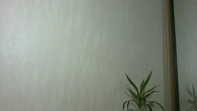 Marellaa online show from December 4, 11:53 am