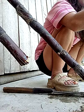 daisy will online show from February 16, 8:02 am