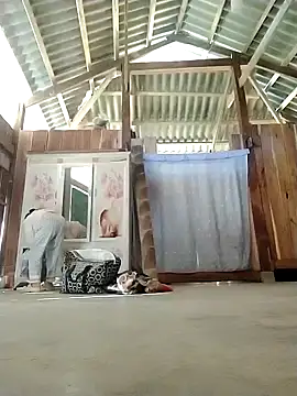 daisy will online show from November 28, 1:06 am