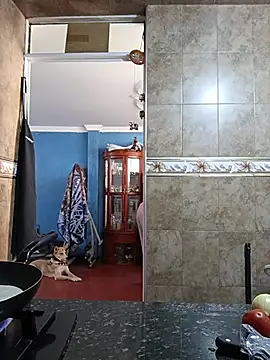 asumi 18 online show from November 21, 3:00 pm