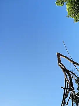 Mounstro3 online show from March 22, 10:33 pm