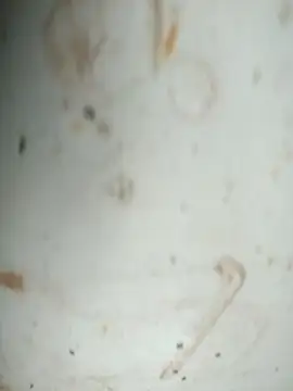 Mounstro3 online show from November 28, 4:40 pm