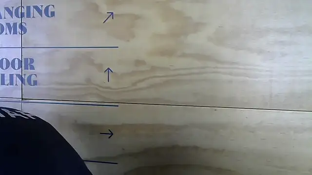 Snapshot of mason_fit chatting on November 17, 8:35 pm mason fit online show from November 17, 8:35 pm