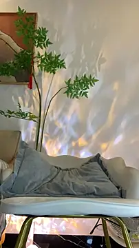 zhizhinaigai online show from February 16, 6:12 am