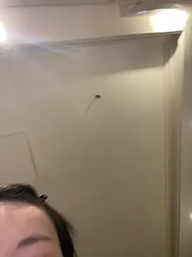 MengMeng0515 online show from March 11, 2:22 pm