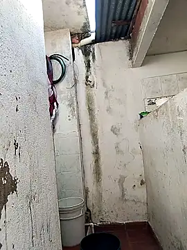 Brayanellatino online show from April 6, 8:10 pm