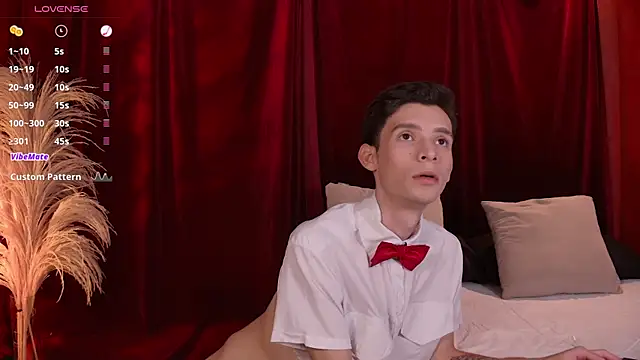 Snapshot of VicenteFerrer chatting on February 5, 1:01 am VicenteFerrer online show from February 5, 1:01 am