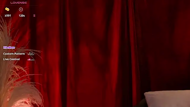 Snapshot of VicenteFerrer chatting on February 14, 1:17 am VicenteFerrer online show from February 14, 1:17 am