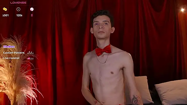 Snapshot of VicenteFerrer chatting on February 13, 2:33 am VicenteFerrer online show from February 13, 2:33 am