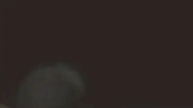 pietje1991 online show from May 16, 11:37 pm
