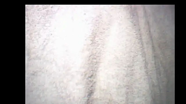 pietje1991 online show from December 14, 10:26 pm