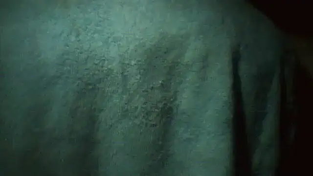 pietje1991 online show from March 2, 2:56 am