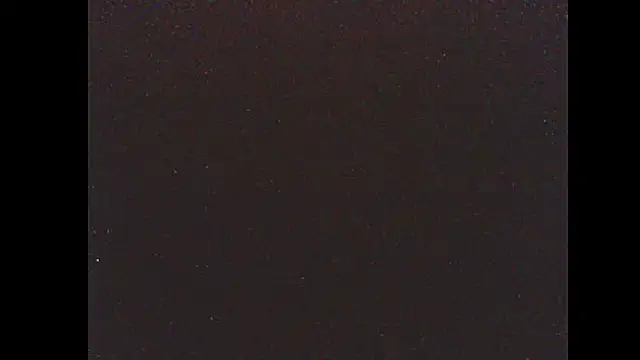 pietje1991 online show from January 14, 4:05 am