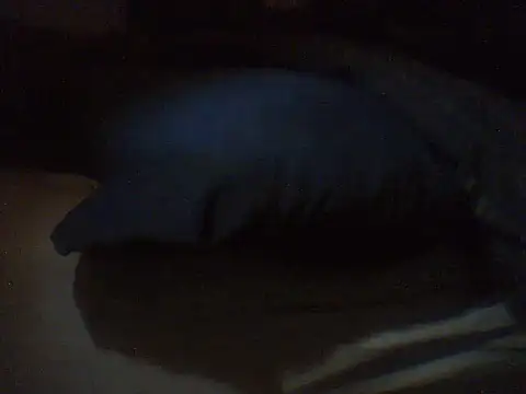 pietje1991 online show from March 18, 4:19 pm