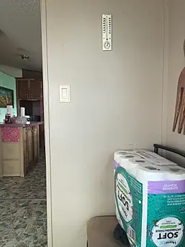 TranSexualJade95 online show from April 12, 9:29 pm