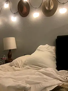 thejohnryancollection online show from November 4, 6:17 am