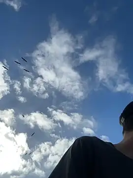 thejohnryancollection online show from October 22, 10:41 pm