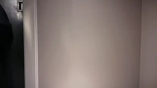 Snapshot of DERTYLAY chatting on November 21, 10:31 pm DERTYLAY online show from November 21, 10:31 pm