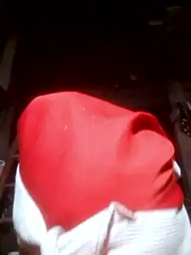 VangLe73 online show from November 10, 11:59 am