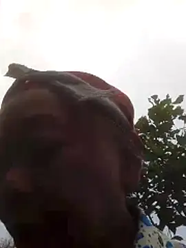 VangLe73 online show from October 16, 1:14 am