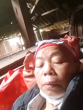 VangLe73 online show from November 5, 2:47 am