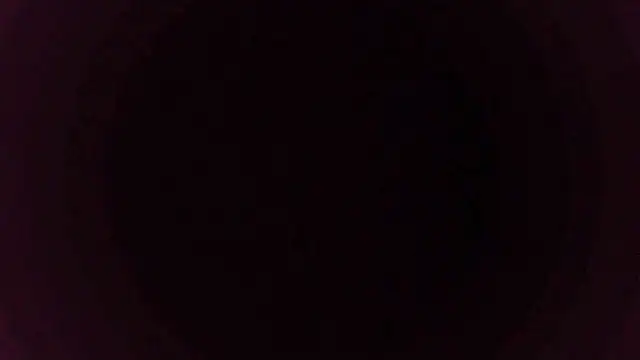 sakuradelreina online show from December 15, 4:07 am